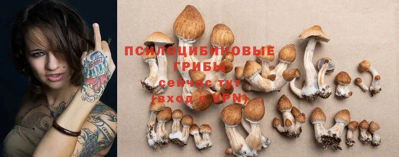 даркнет сайт  blacksprut онион  Галлюциногенные грибы Magic Shrooms  Нолинск 